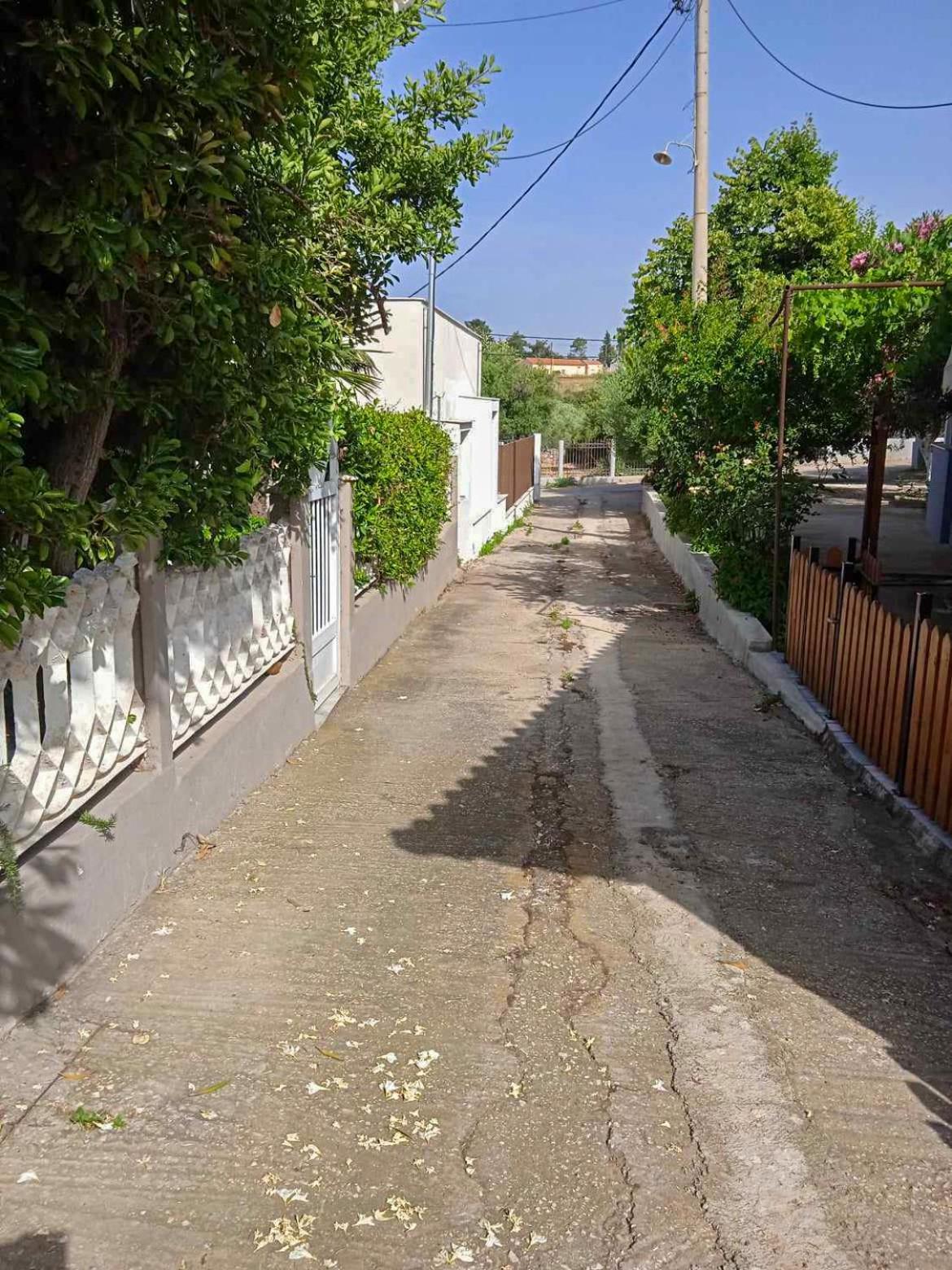 Κυανή Ακτή - Agia Paraskevi Makri Ngoại thất bức ảnh