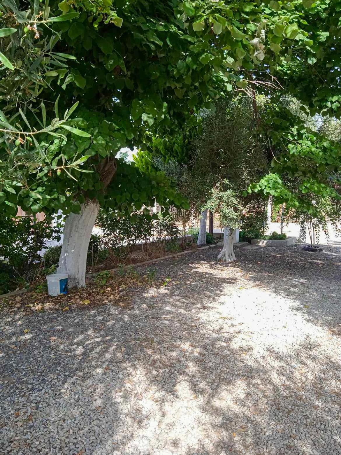 Κυανή Ακτή - Agia Paraskevi Makri Ngoại thất bức ảnh