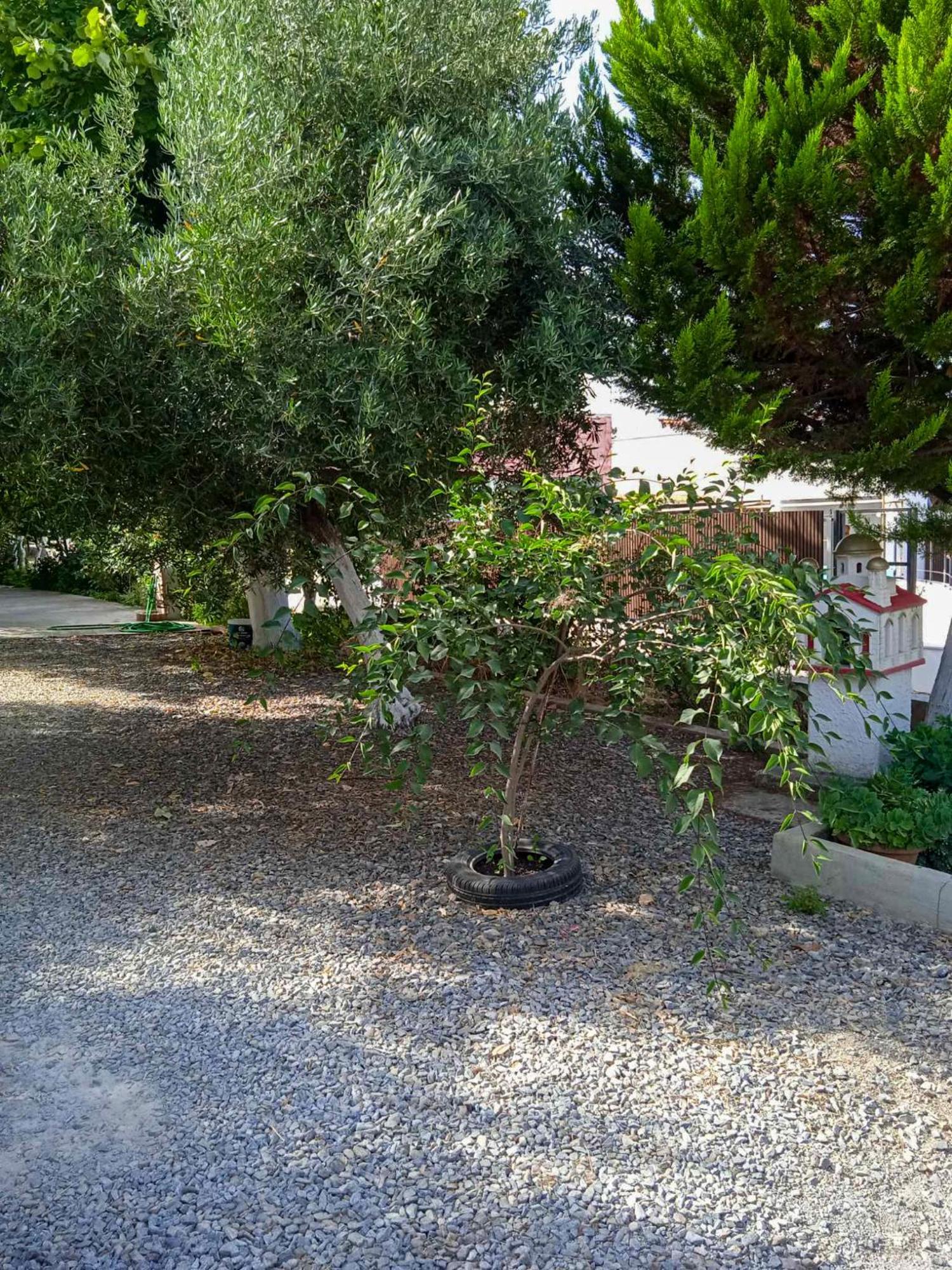 Κυανή Ακτή - Agia Paraskevi Makri Ngoại thất bức ảnh
